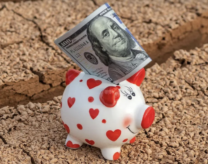 Piggy bank with hearts on it holding money